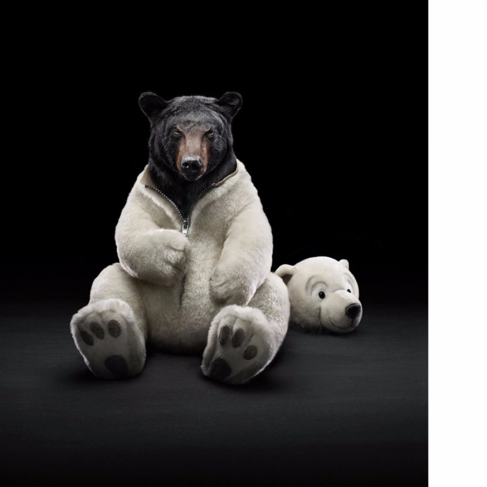 Humor Wallpaper Mobile case cover - Image 2