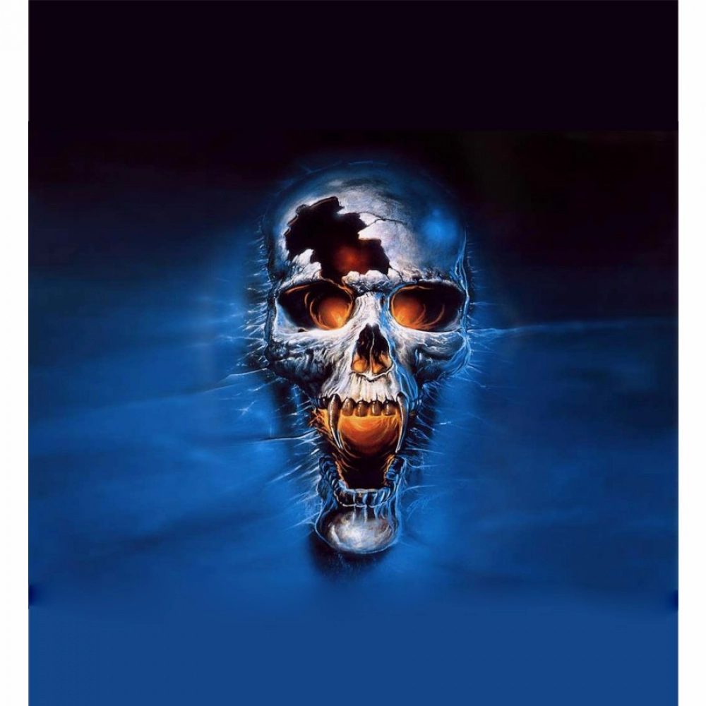 Blue Skull Wallpaper Mobile Case Cover - Image 2