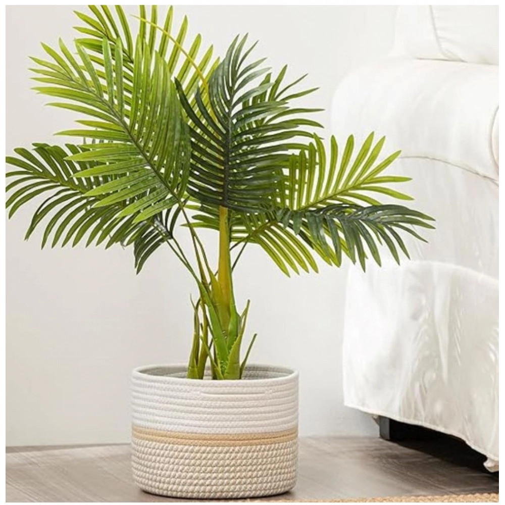 Generic Cotton Storage Rope Woven Baskets 9x7 Inch Pack of 1 (Beige) - Image 2